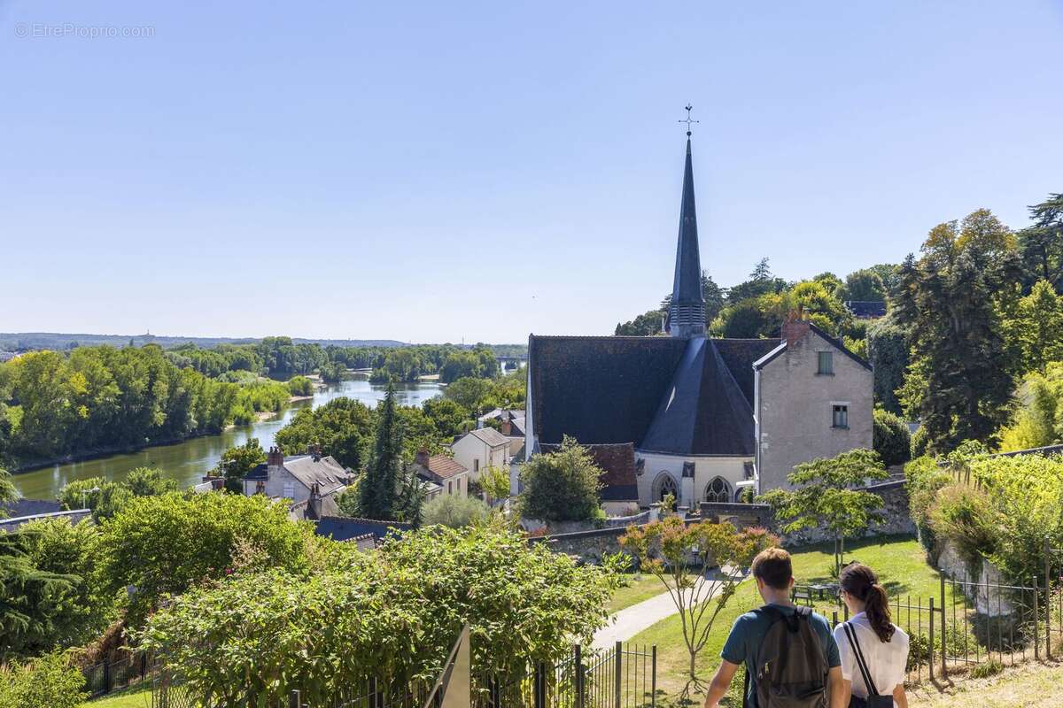 La saint-cyrienne à St Cyr Sur Loire