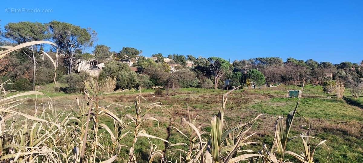 Domaine rosea appartements à Frejus