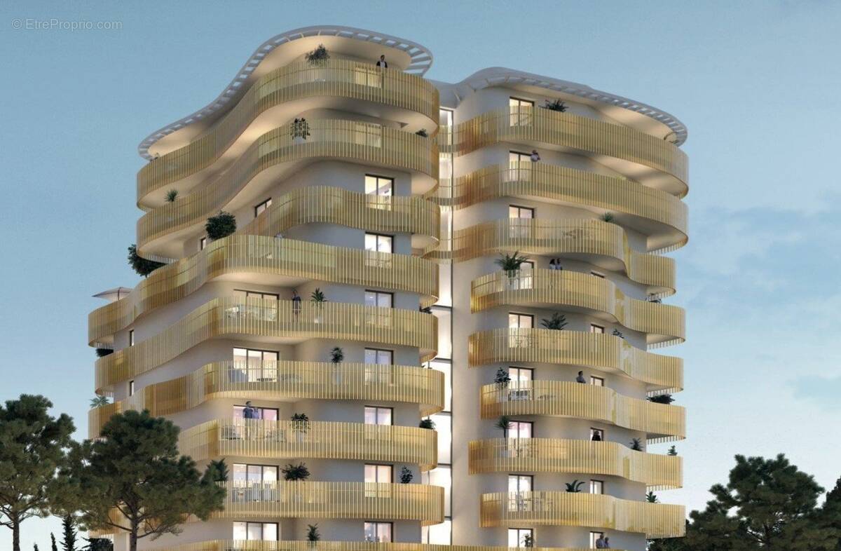 Coup de coeur brs montpellier à Montpellier