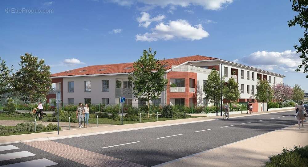 Le sycomore à Toulouse