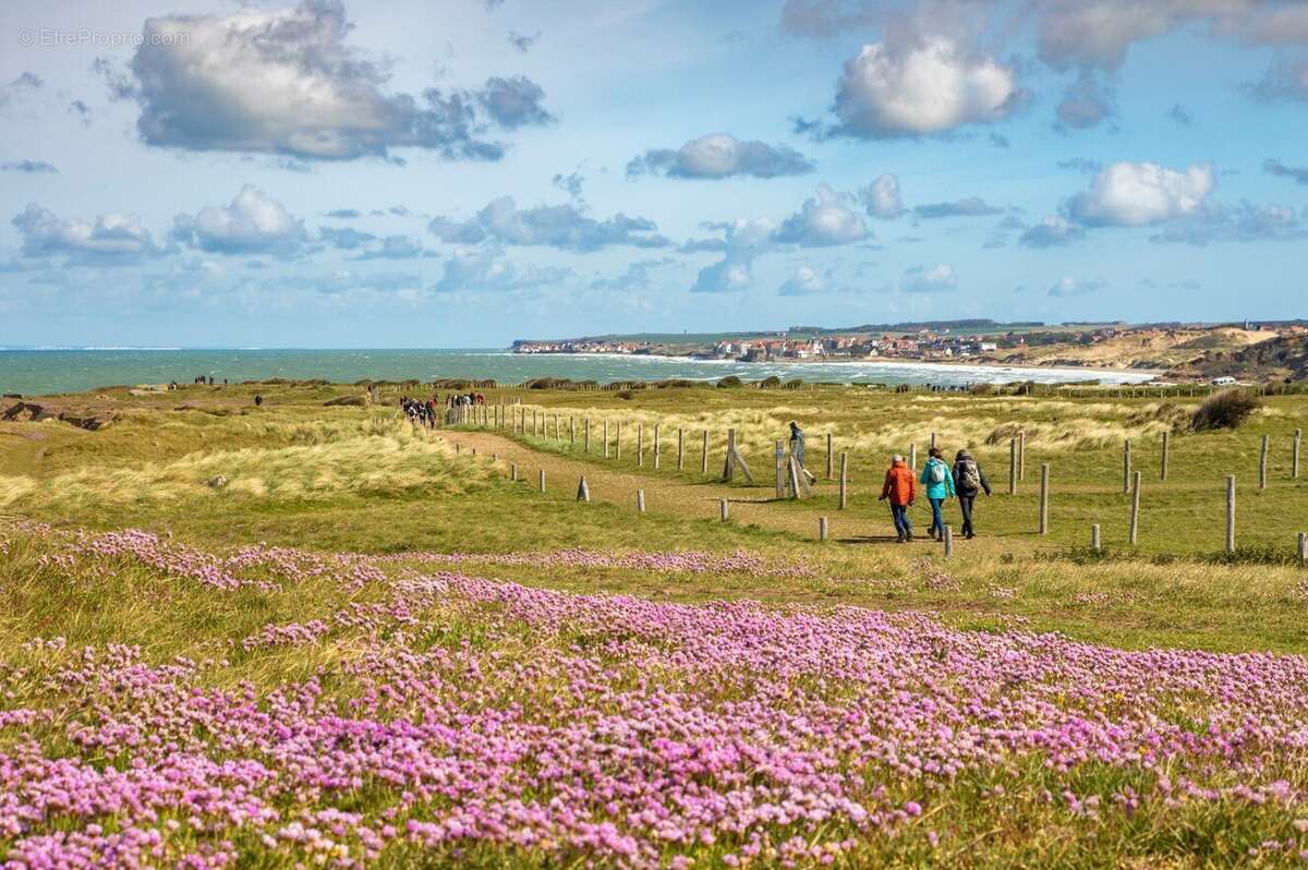 Cap nature à Ambleteuse
