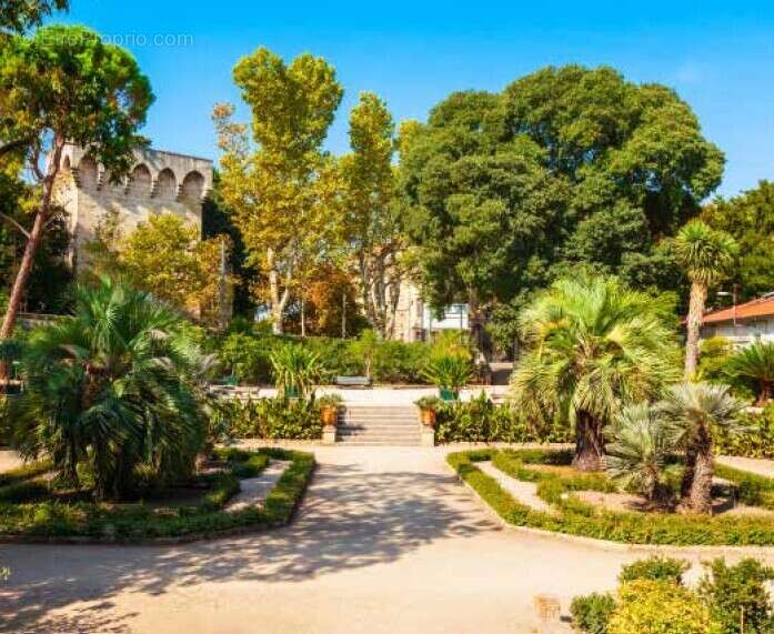 Ostarel à Montpellier