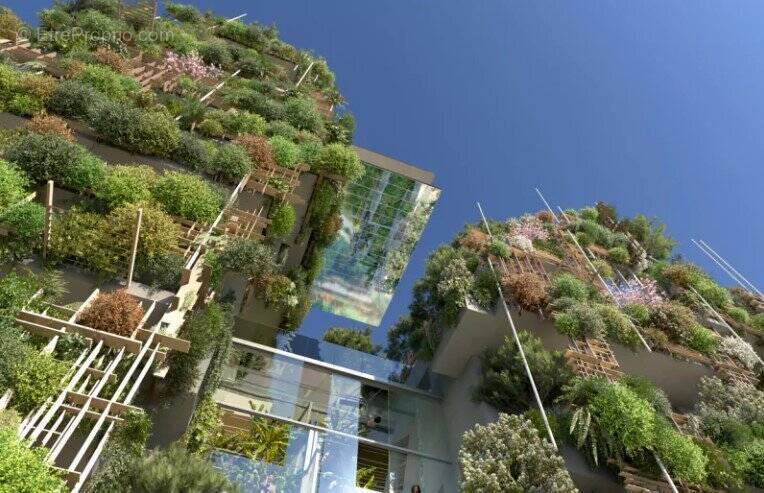 Notre coup de coeur hotel de ville à Montpellier