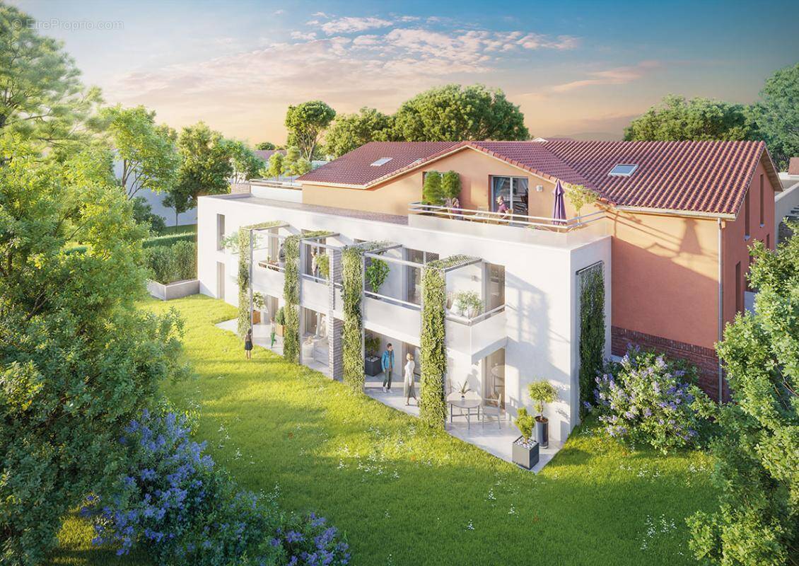 L'isatis à Escalquens