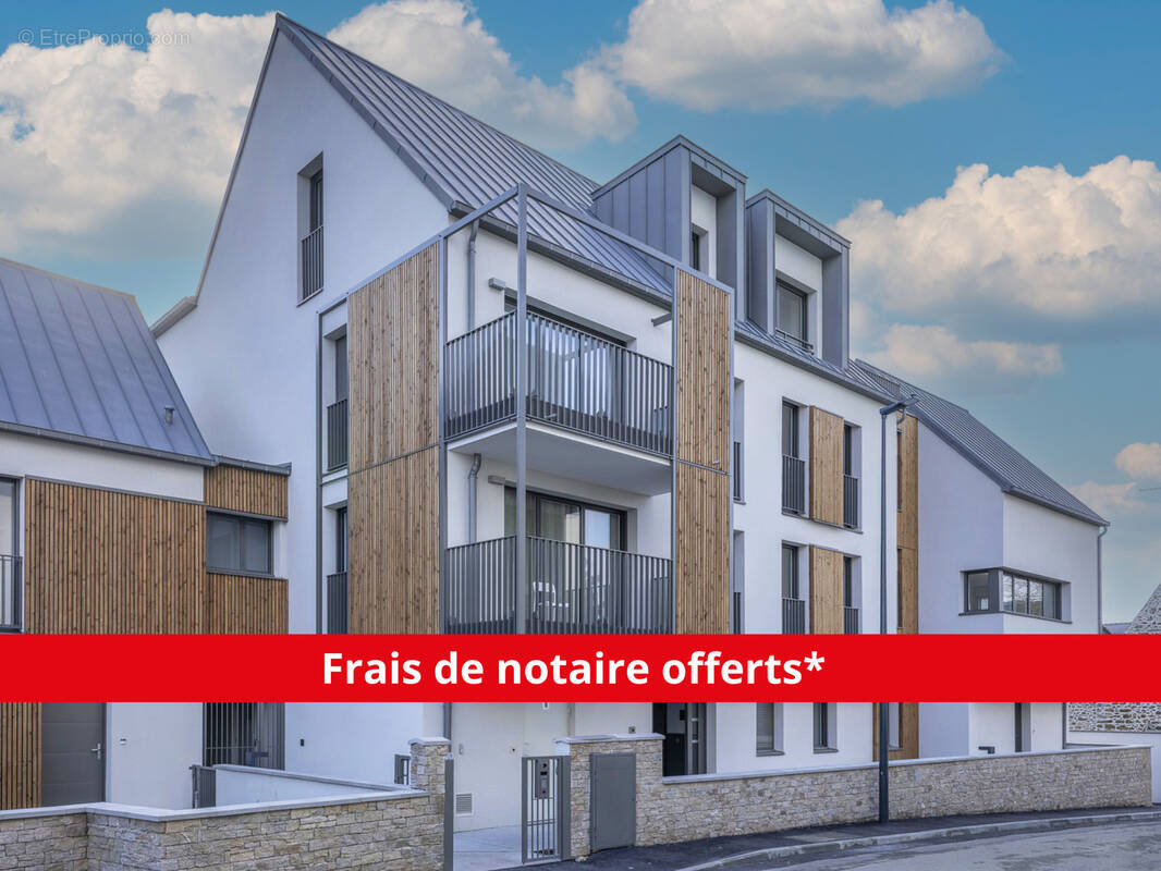 Agapanthe à St Malo