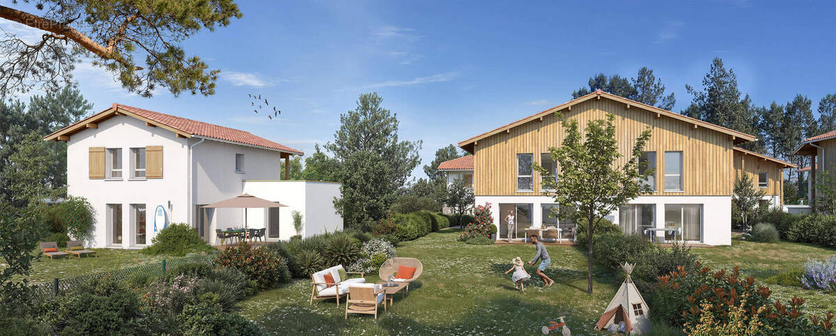 Terre des landes à Seignosse