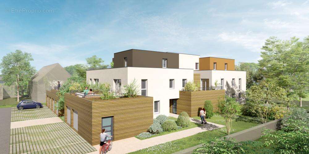 Villa rose cadril à Rixheim