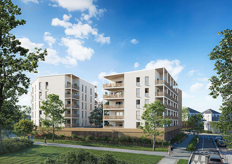 Bois lizé à Angers