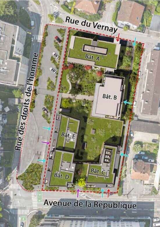 Passage de flore à Annecy