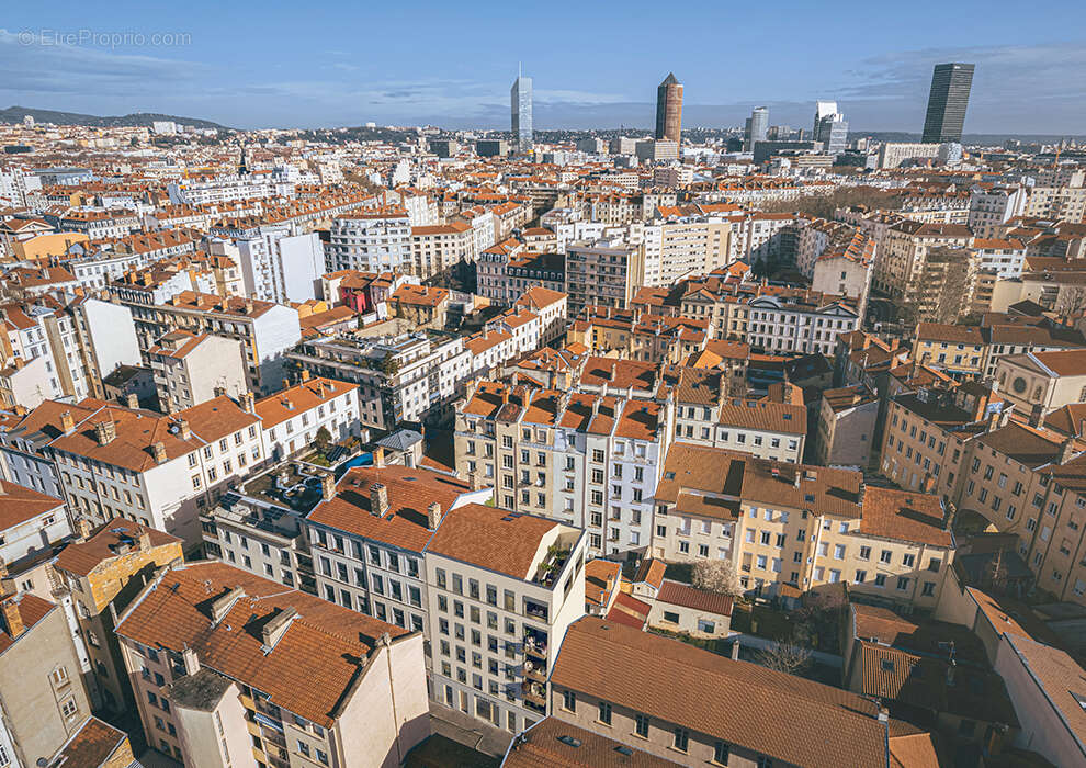 Wood line à Lyon 7e Arrondissement