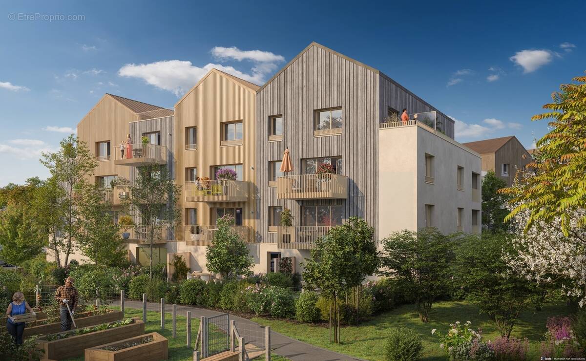 Le saule blanc - tranche 2 à Chantepie