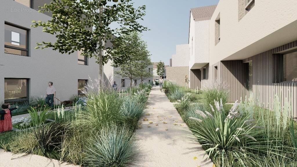 Le hamo du grand air à Frouard