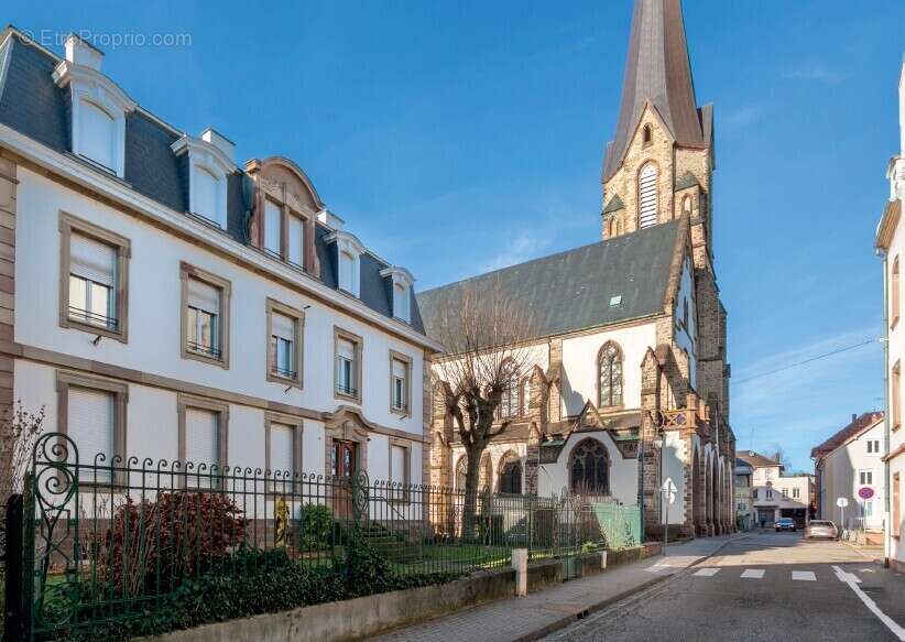 Les jardins sophoras à Bischheim