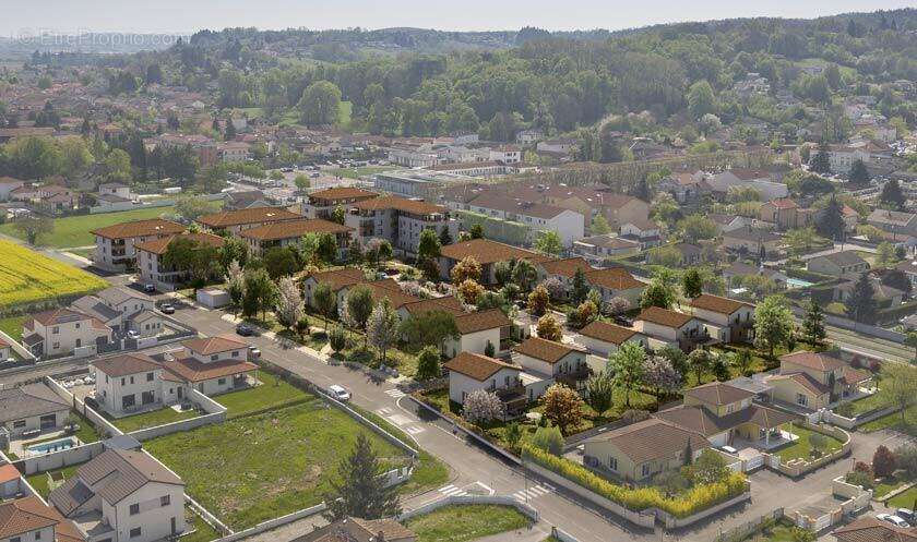 Les prairies de saint-pierre à St Pierre De Chandieu