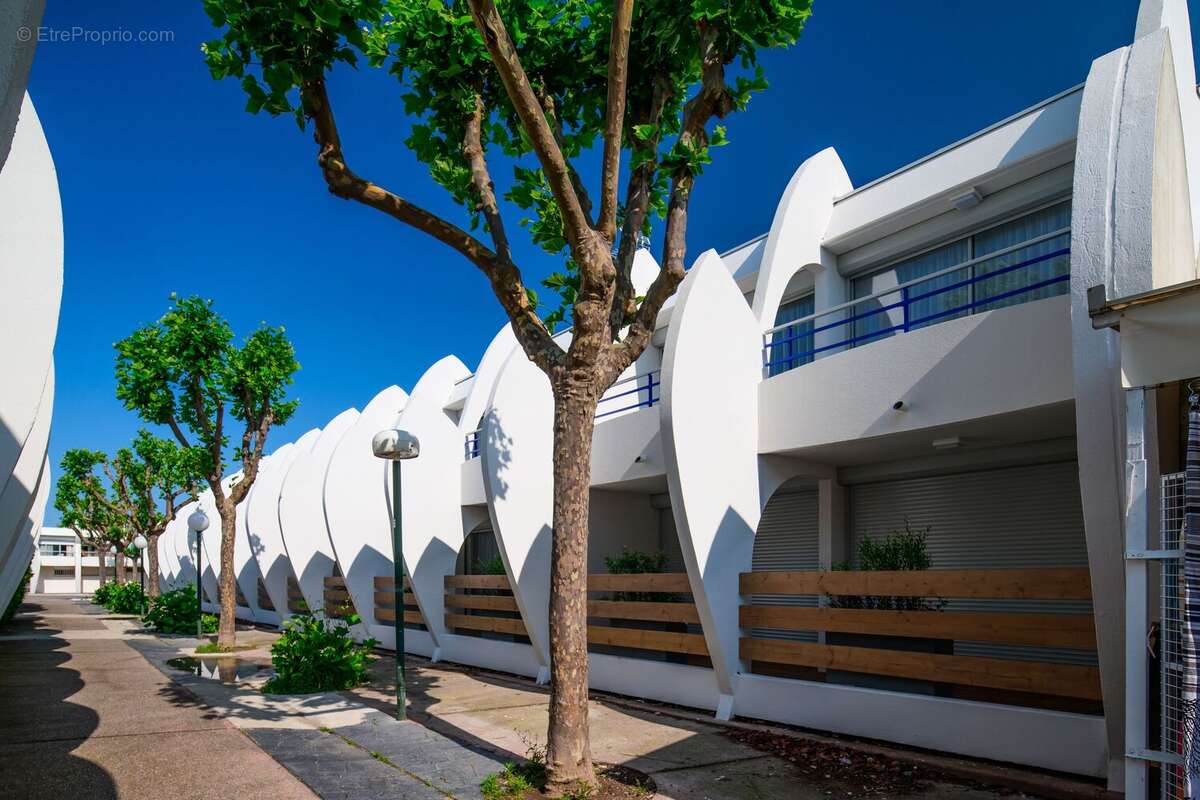 Nymphéa à La Grande Motte