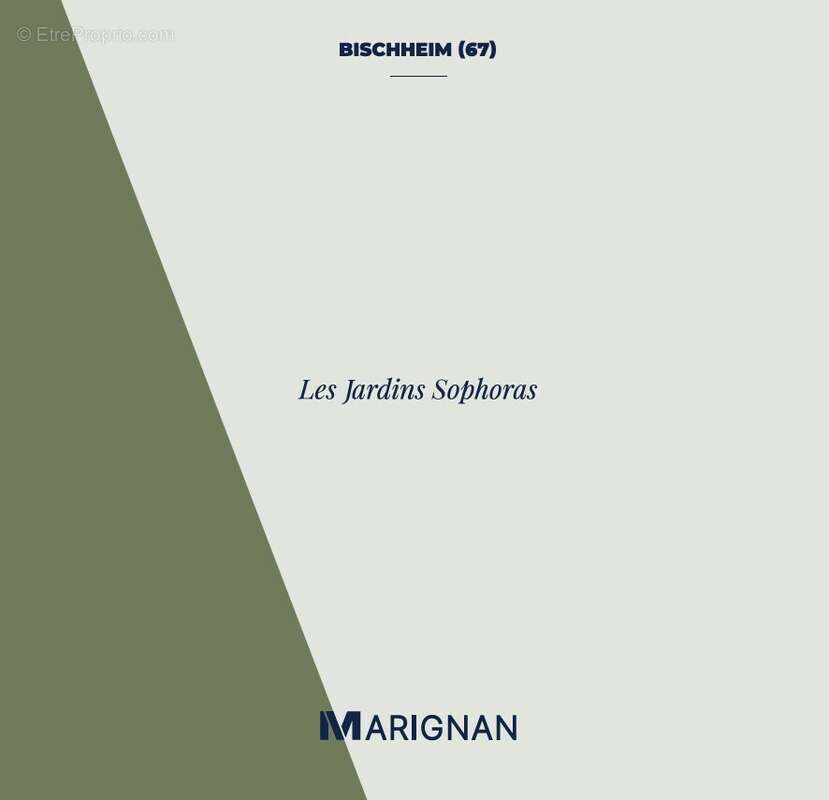 Les jardins sophoras à Bischheim