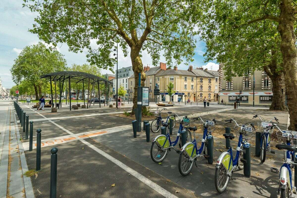 Kleezi - louis guilloux à Rennes