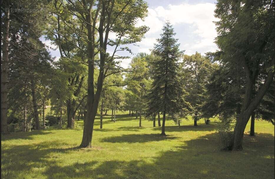 Le mansart à St Denis