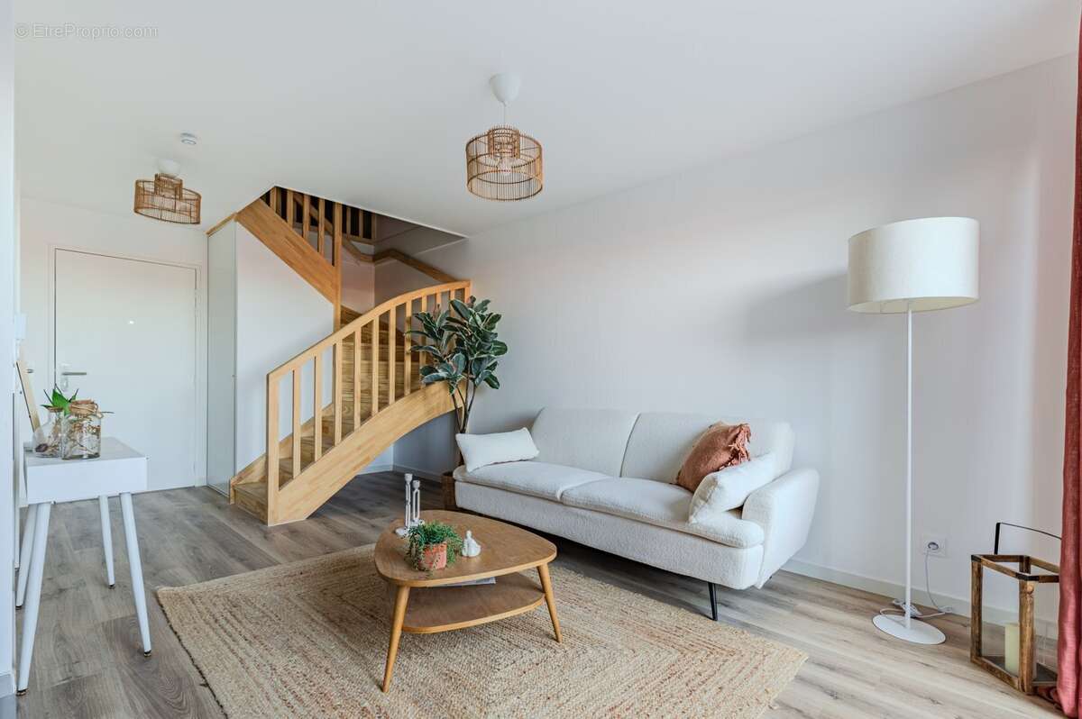 Euphorbia à Merignac