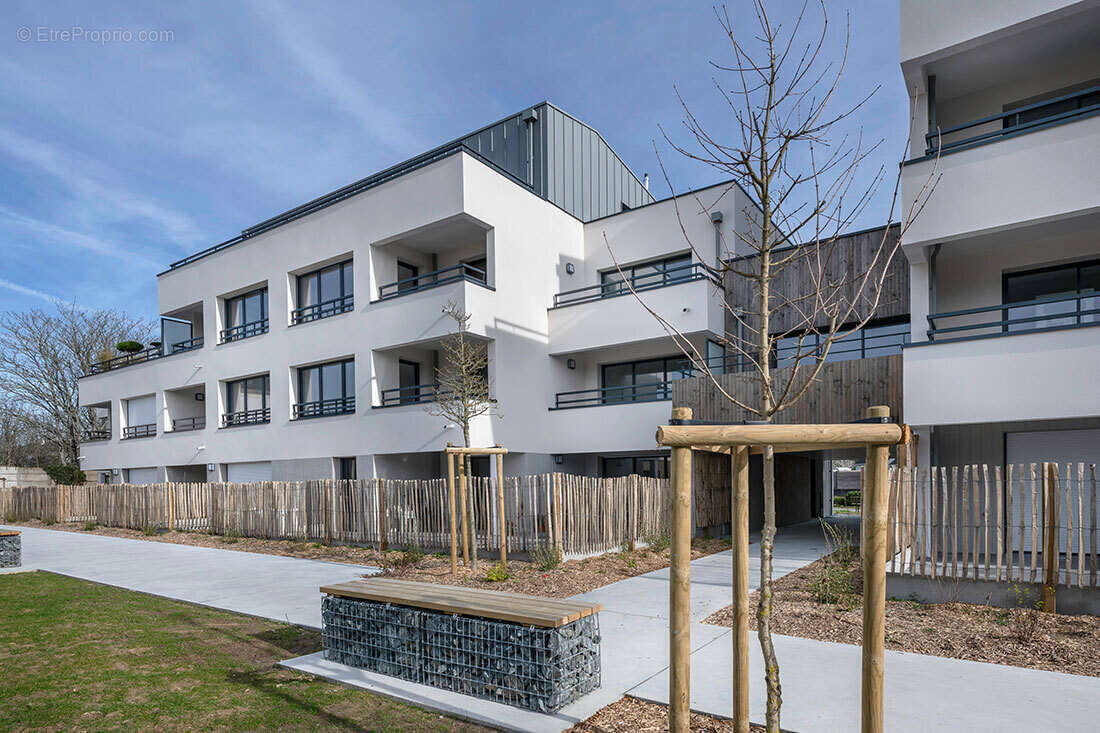 Le mauperthuis à Guerande