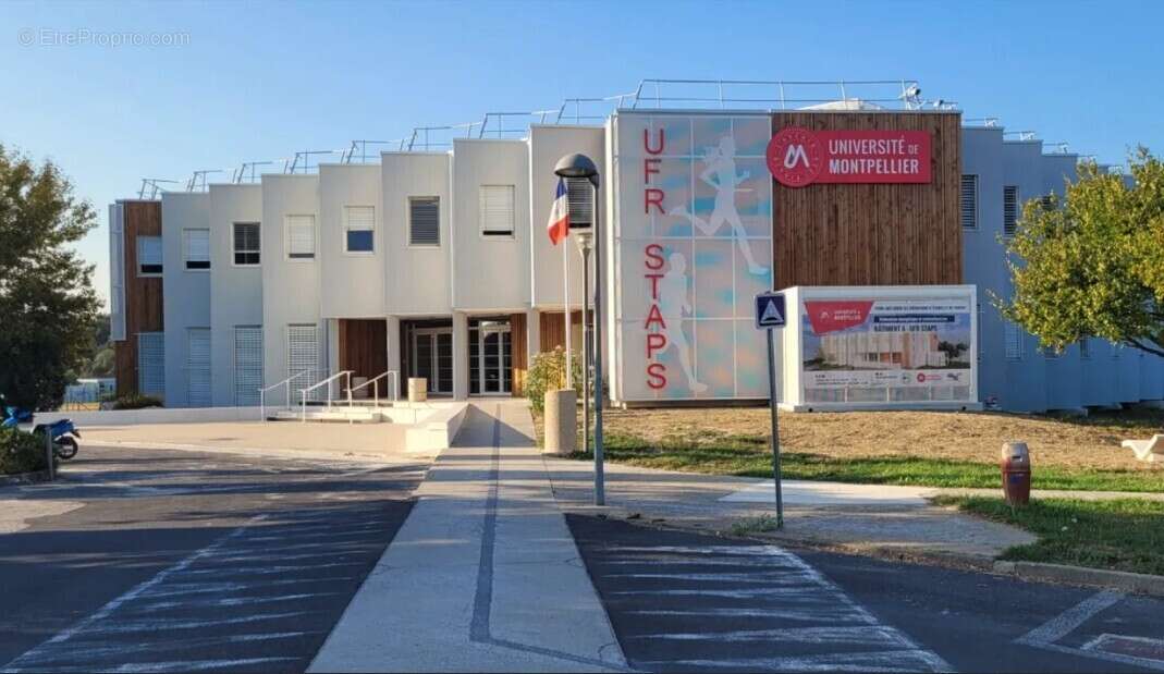 Umami à Montpellier