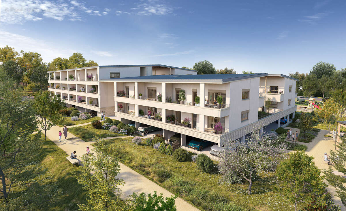 Les botanistes à Chanteloup En Brie