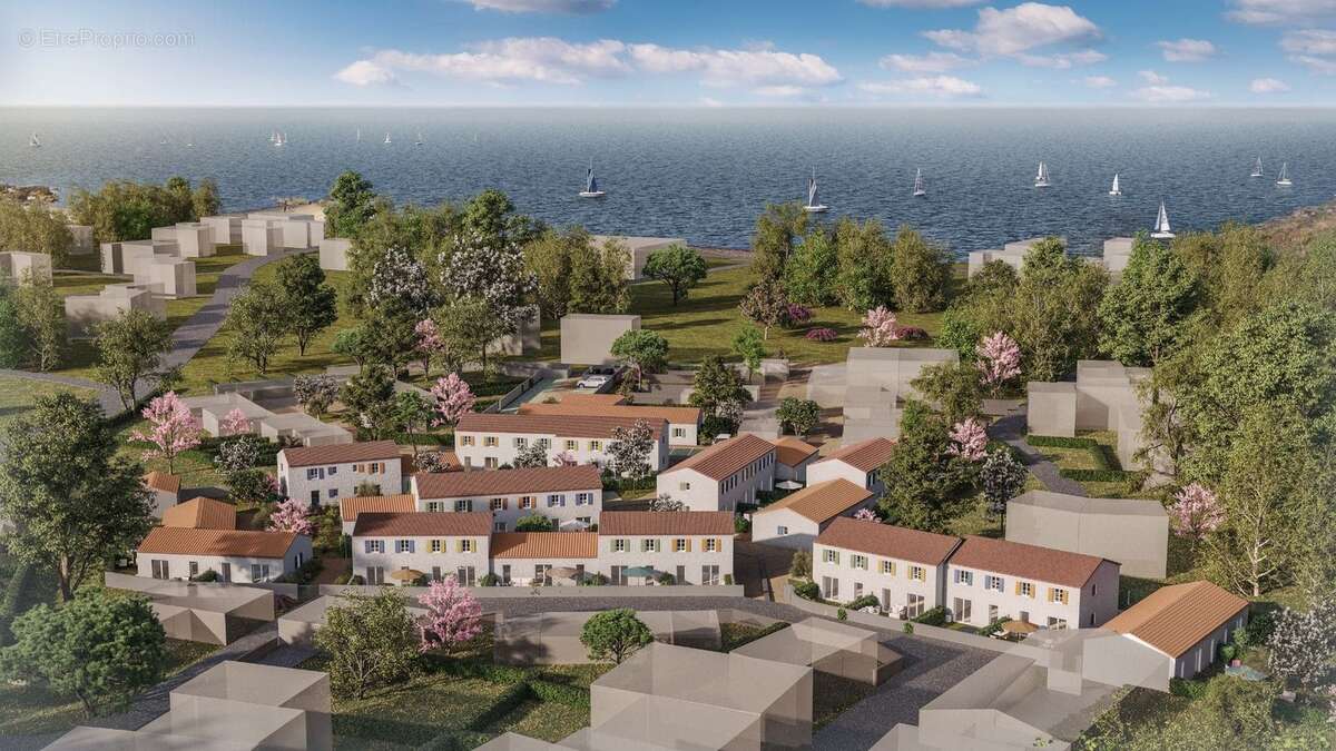 Sekoya à L Ile D Yeu