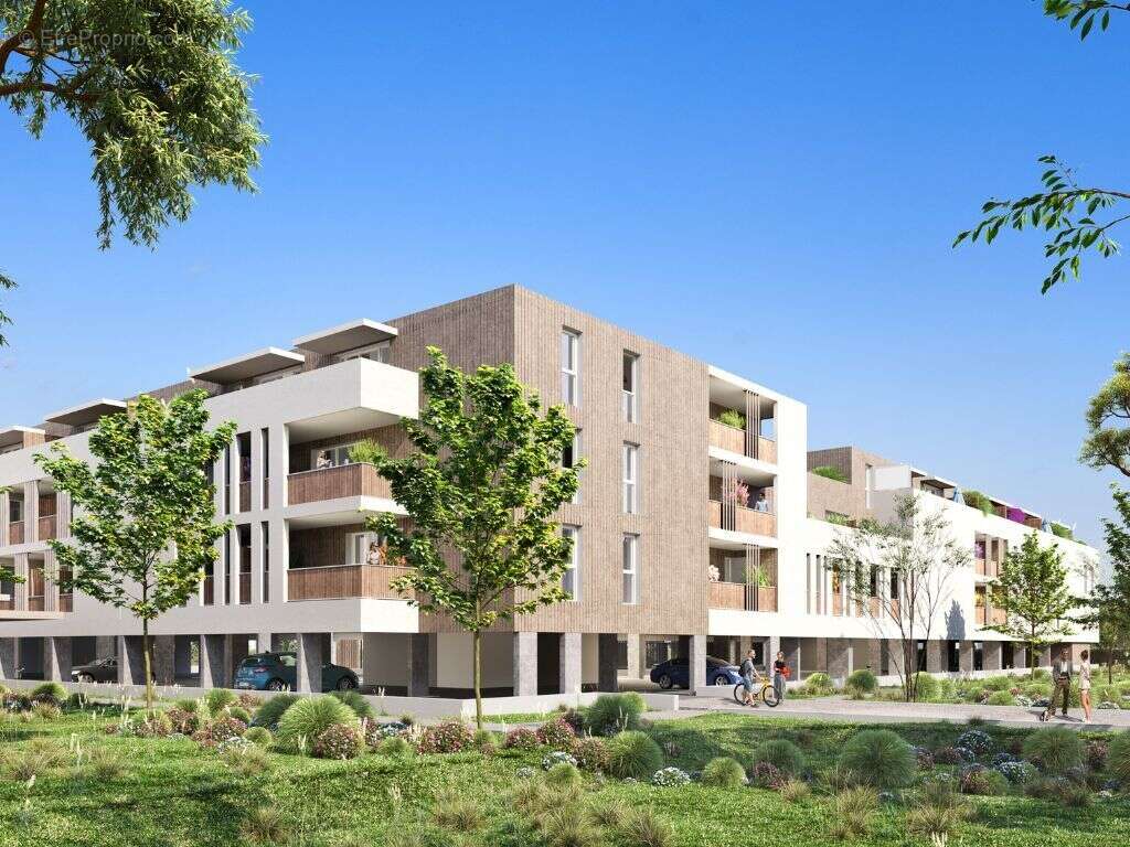 Les rives du jonquet à Arles