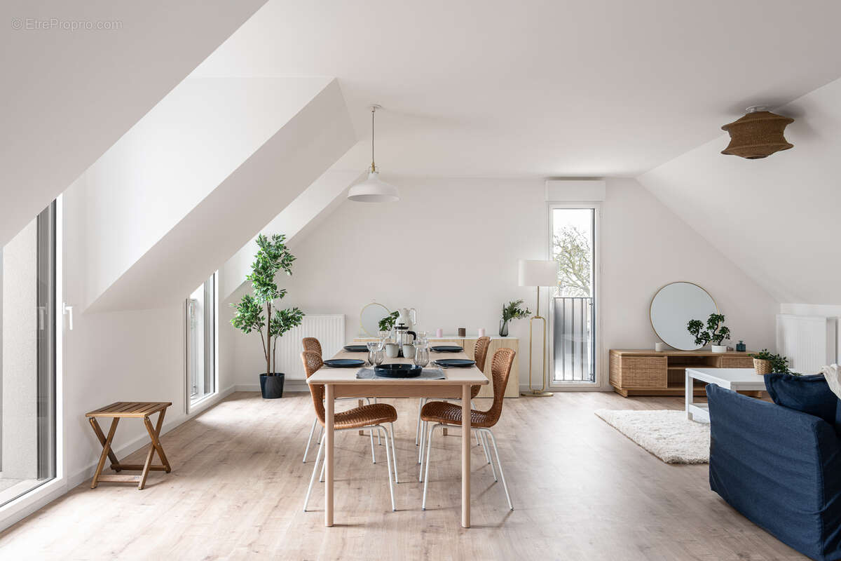 Agapanthe à St Malo