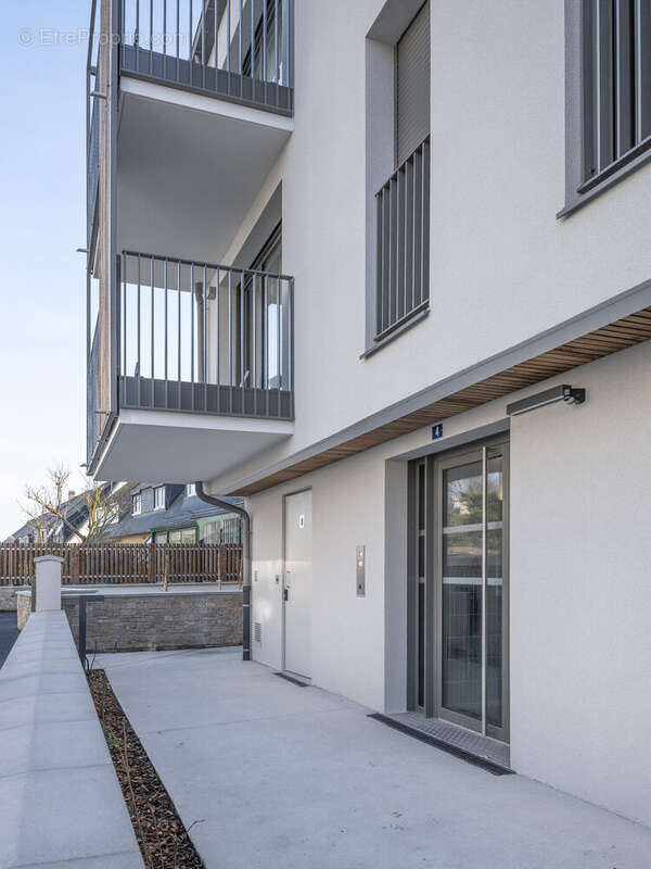 Agapanthe à St Malo