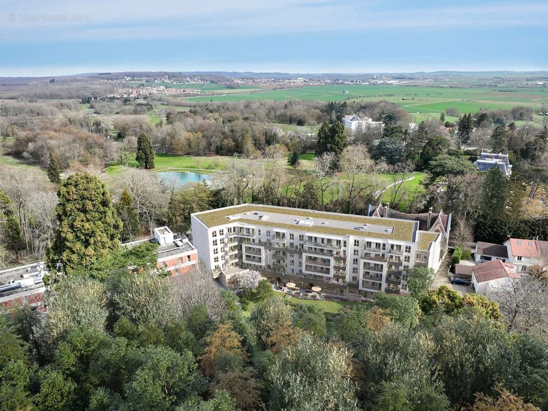 Castanea à Bouffemont