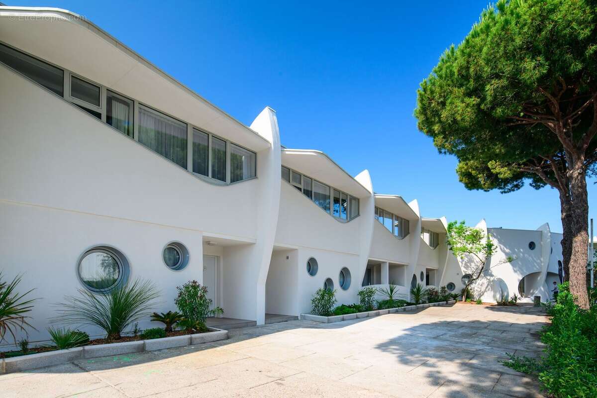 Nymphéa à La Grande Motte