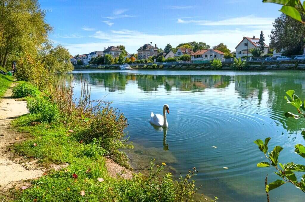 Plein sud à Pomponne