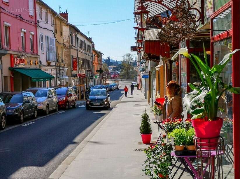 Millésime à Fontaines Sur Saone