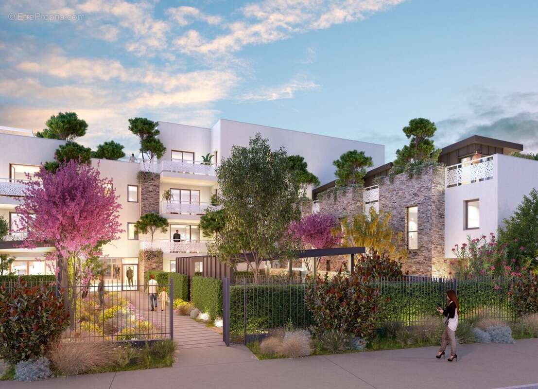 Nouveaute  brs a montpellier à Montpellier