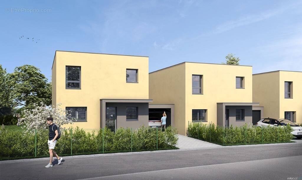 Le hamo du lion à Belfort