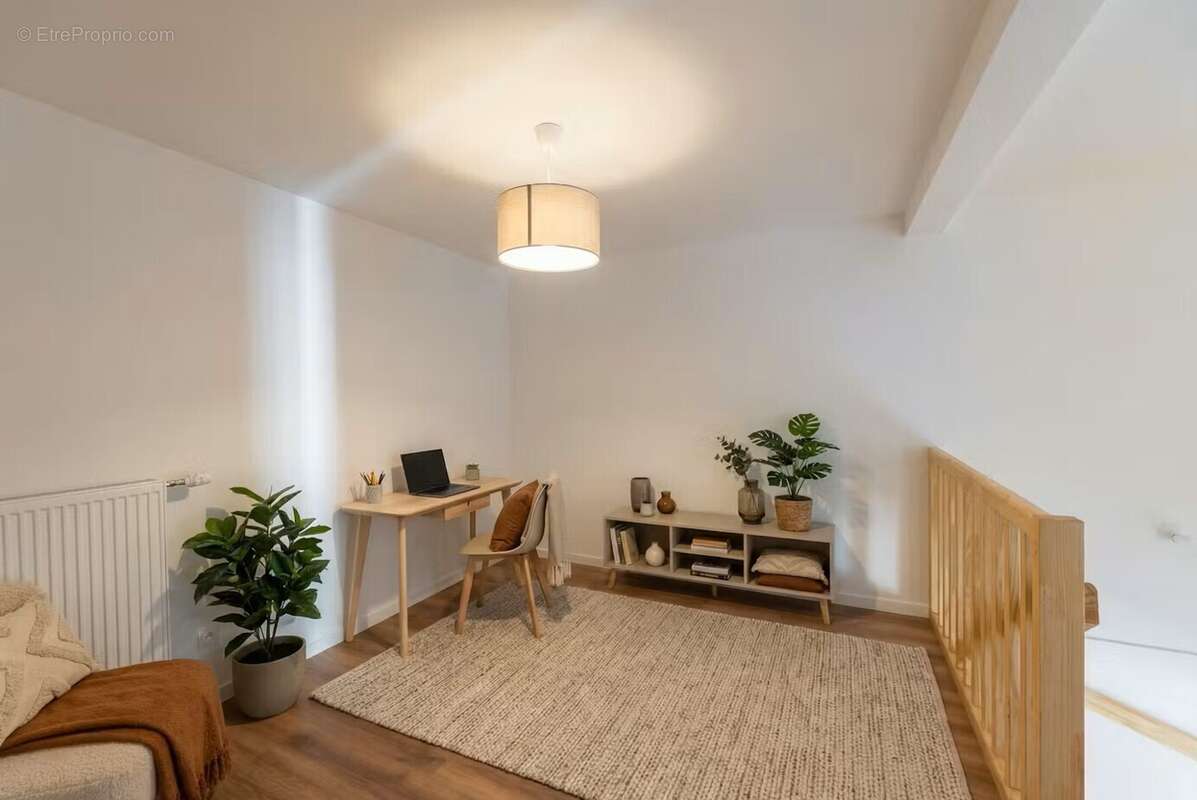 Euphorbia à Merignac