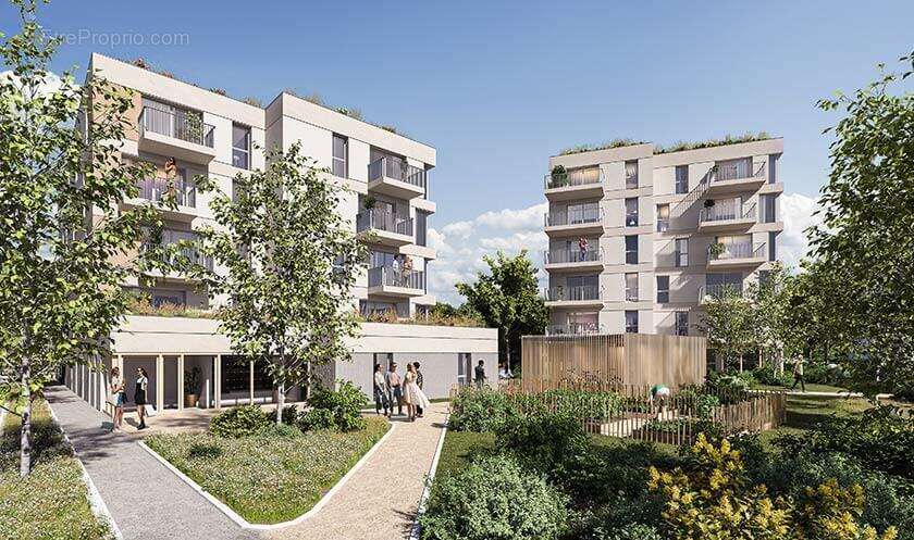 L'akébia à St Jean De Braye