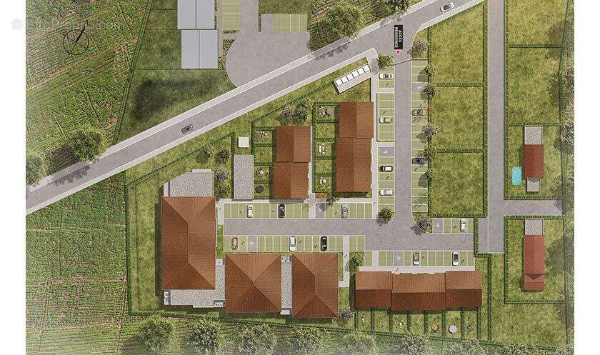 Terra solea à Marseillan