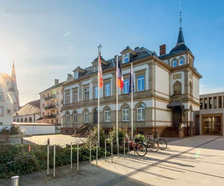 Les jardins sophoras à Bischheim