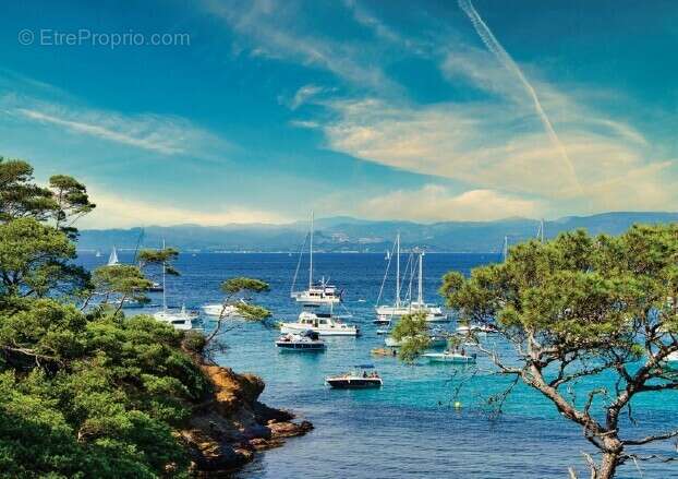 Eleganza à Le Lavandou