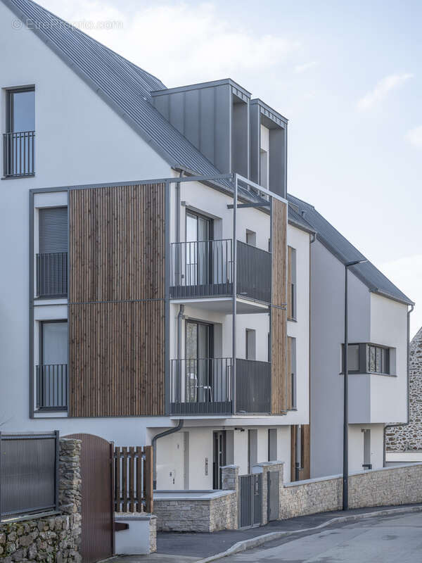 Agapanthe à St Malo