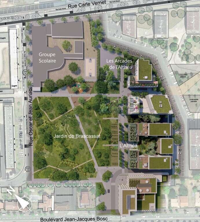 L&#039;althéa à Bordeaux