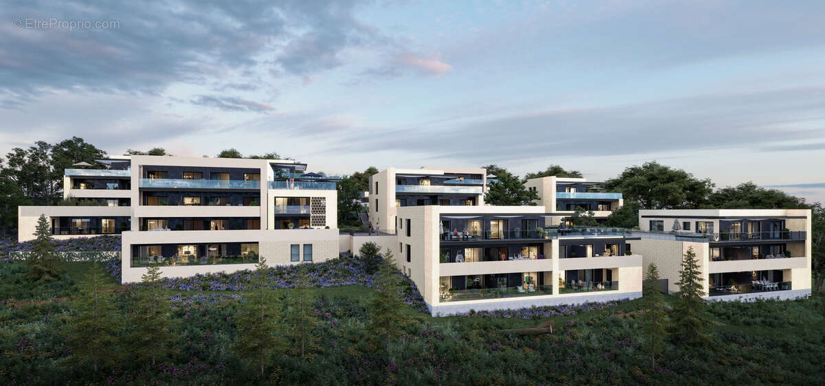 Contemplation à St Didier Au Mont D Or