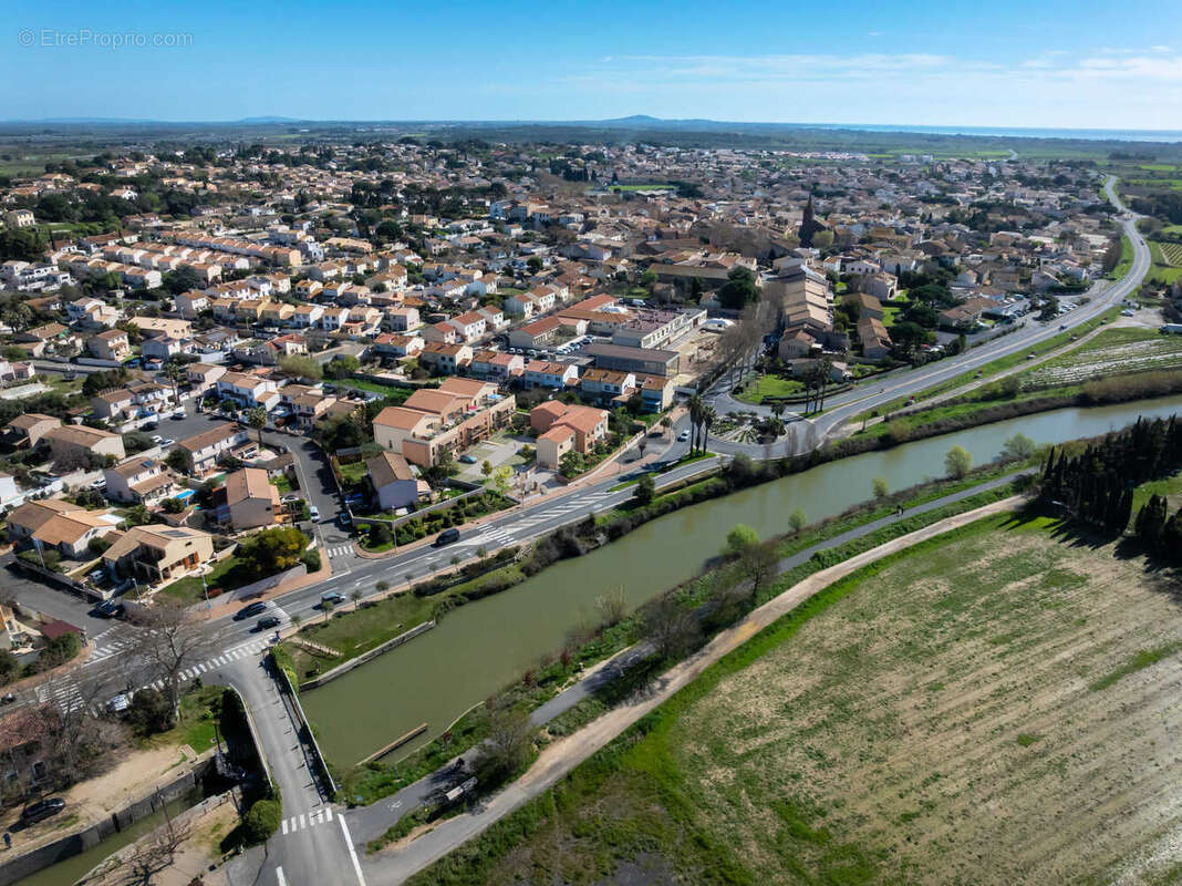 Rives du canal à Portiragnes