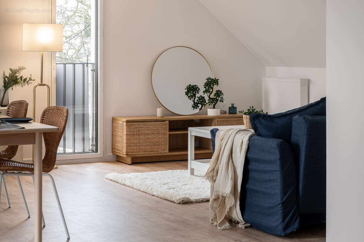 Agapanthe à St Malo