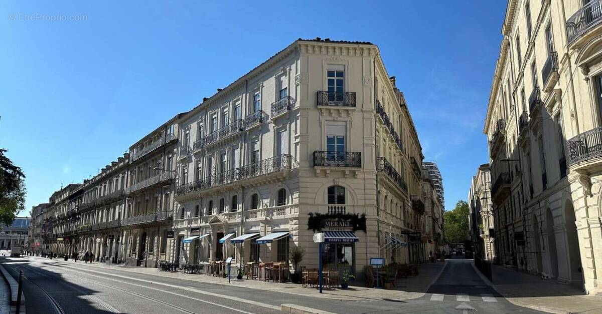 Nouveaute ecusson à Montpellier