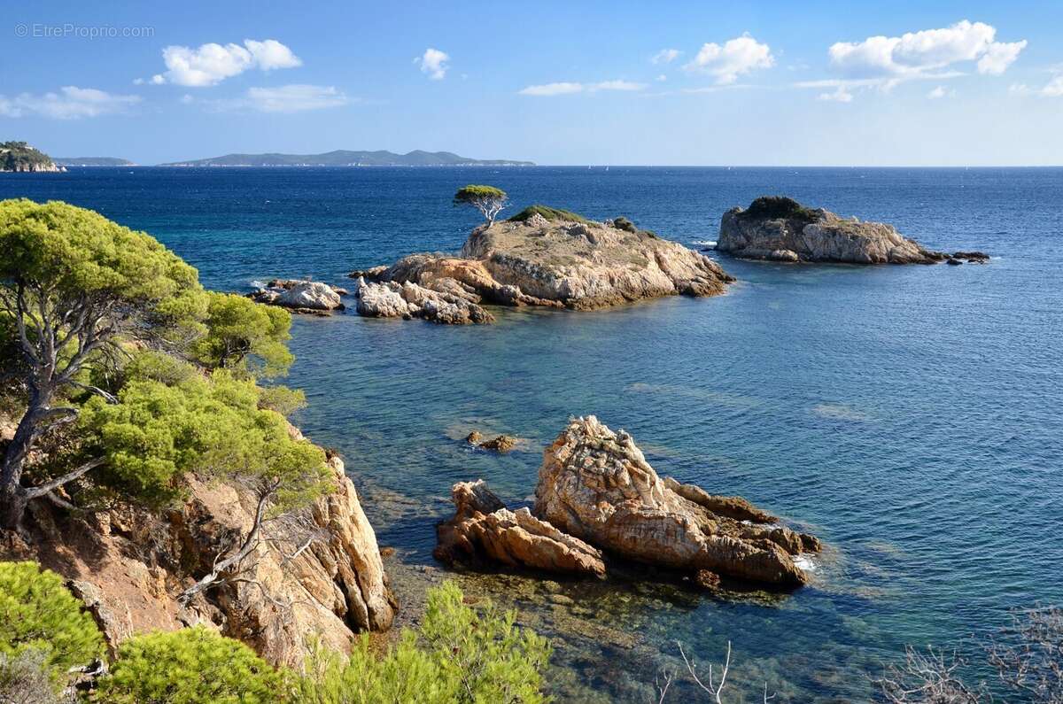 Le domaine des pins à Bormes Les Mimosas