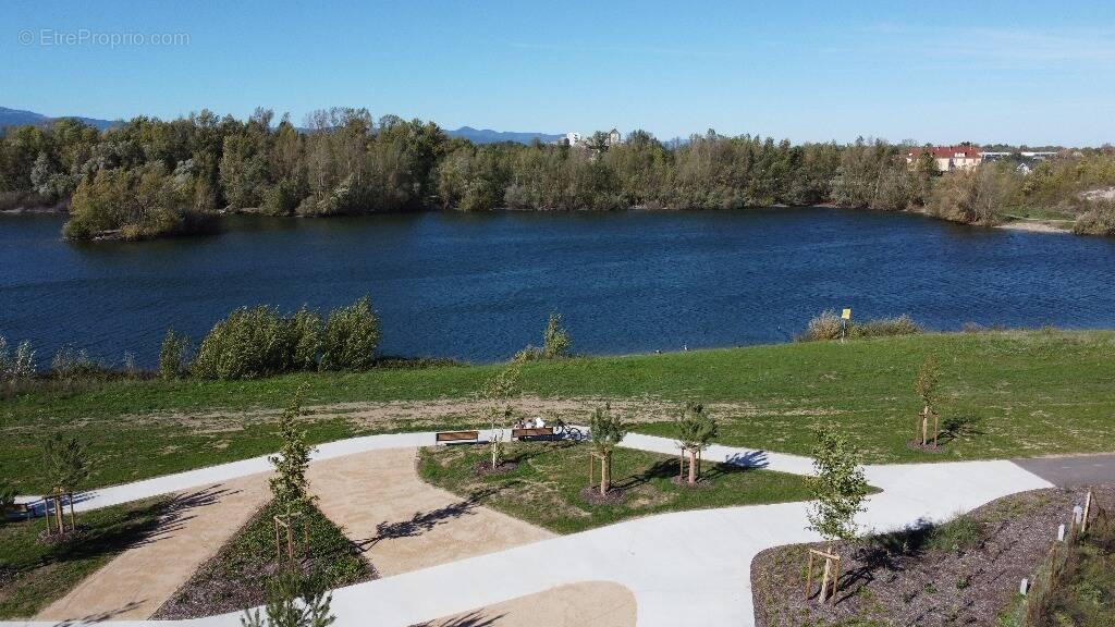 Le hamo rives du lac à Ensisheim