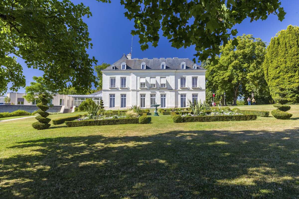 La saint-cyrienne à St Cyr Sur Loire